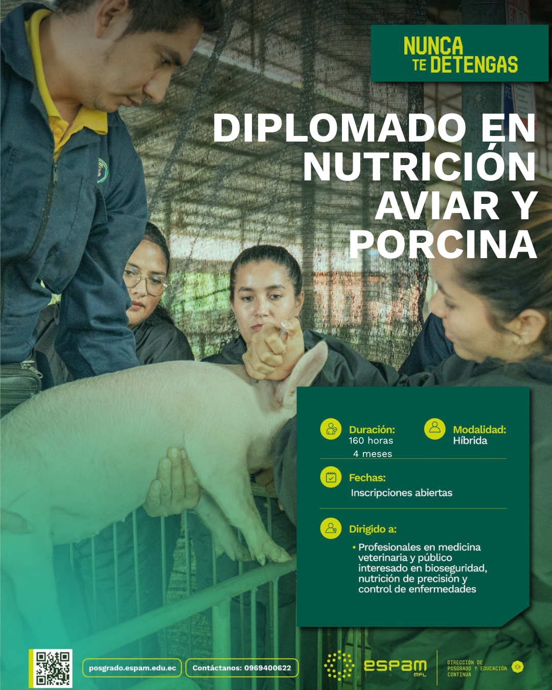 Diplomado en Nutrición Aviar y Porcina